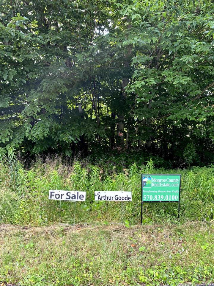 Lot # 39 - Photo 1