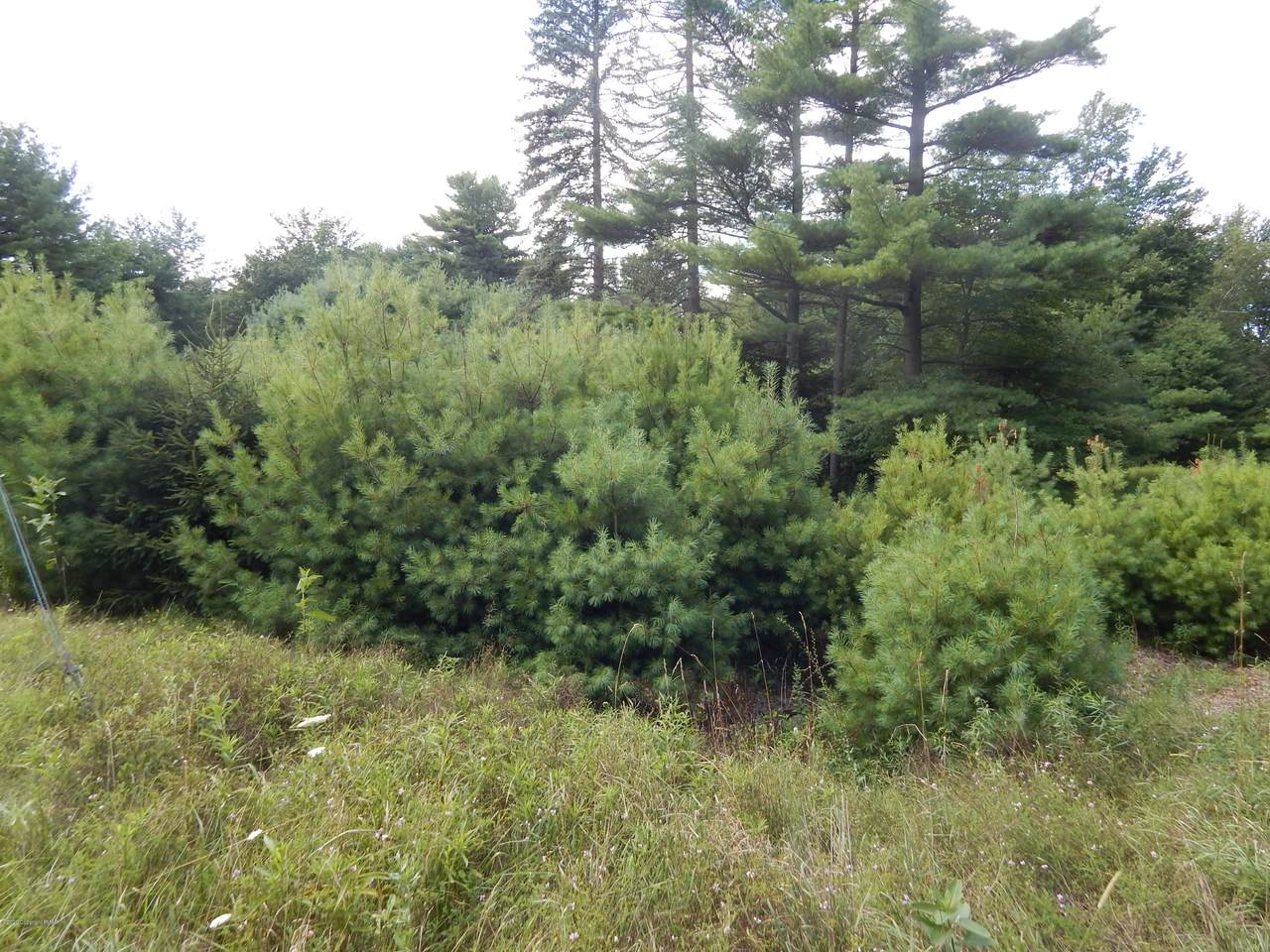 Twp 644 4 -1 Pocono Crest Road - Photo 1