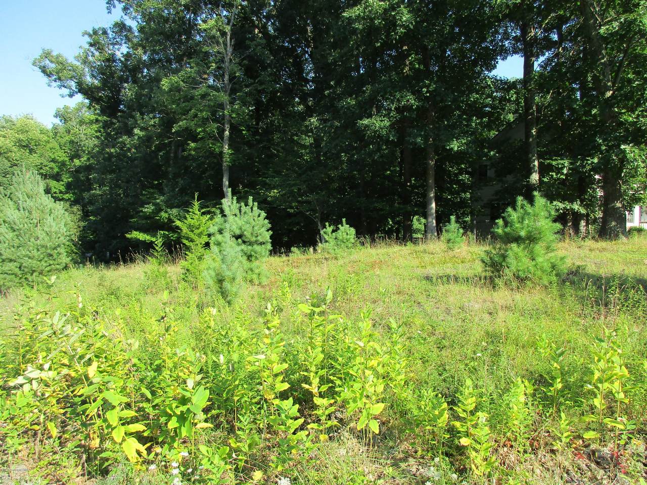 Lot 33 Woodwind Ct - Photo 1