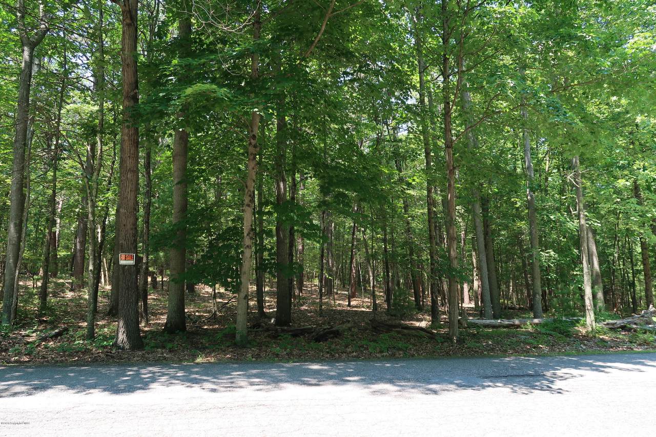 Sand Pit Rd - Photo 1