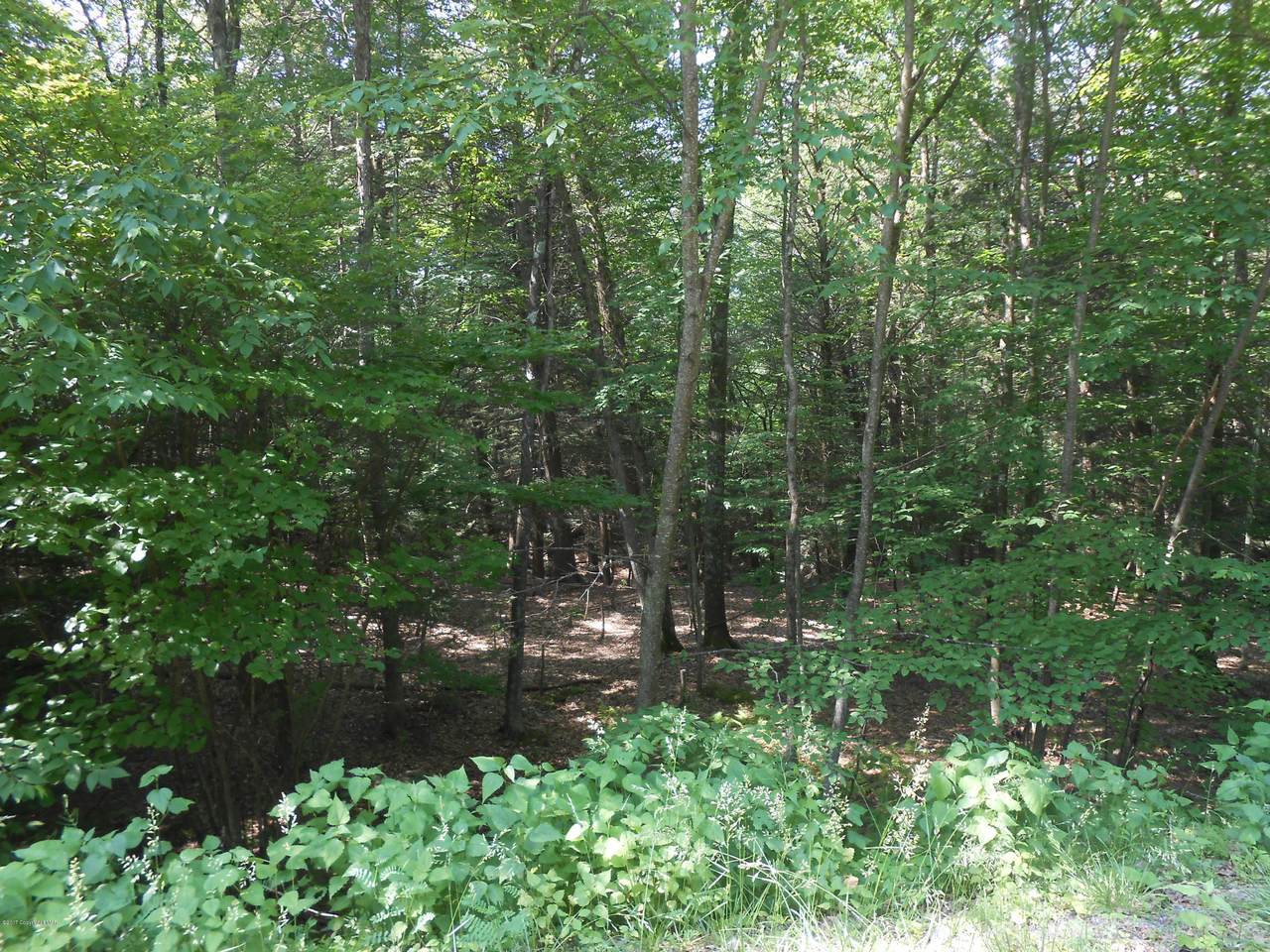 Lot 3 Roaring Brook Road - Photo 1