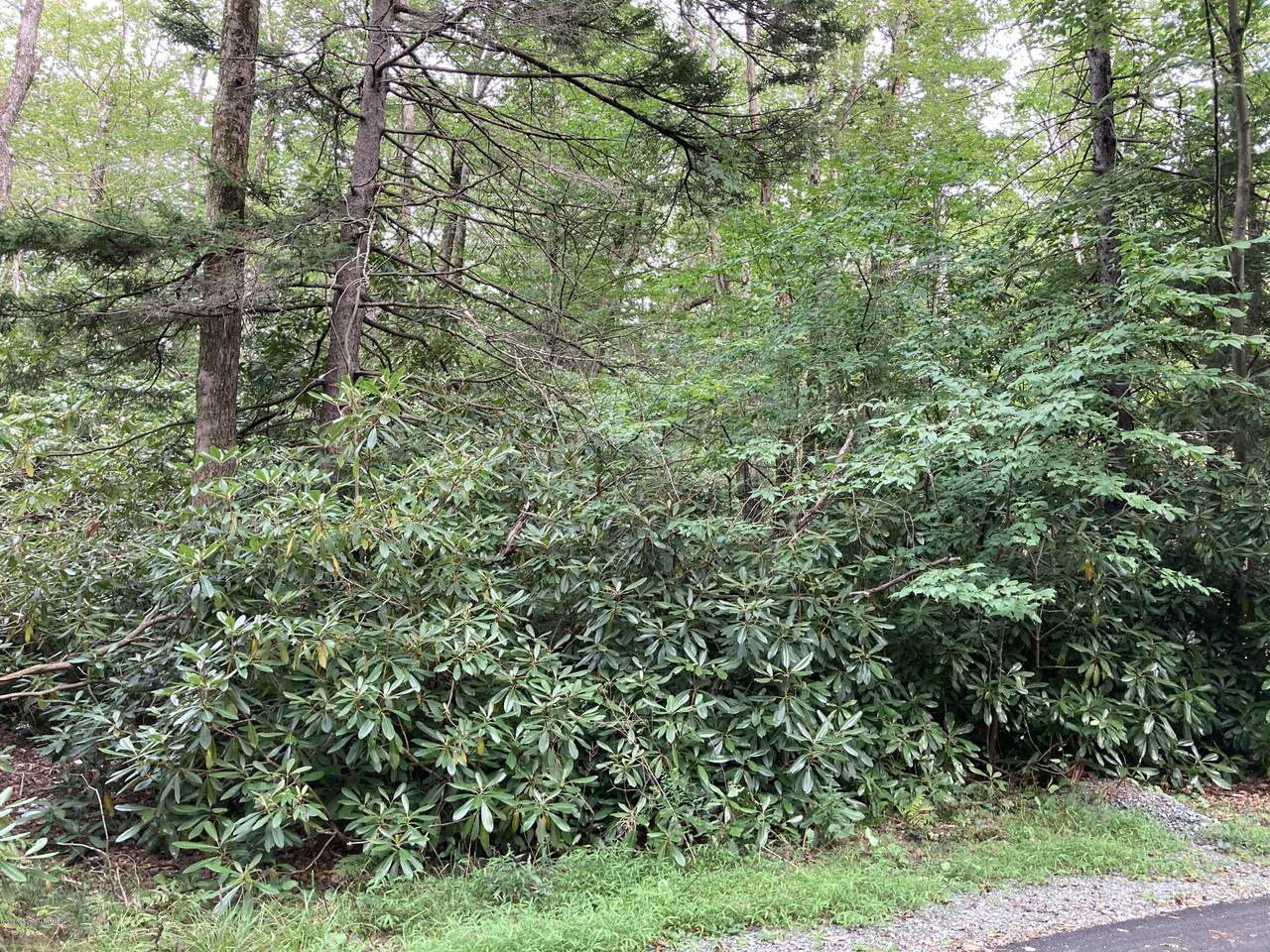 514 Pine Needles - Photo 1