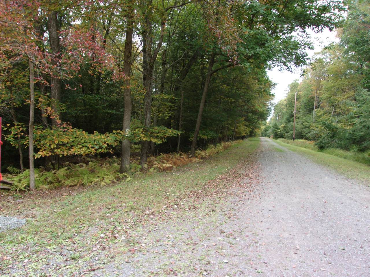White Pine/Driftwood Road Rpad - Photo 1