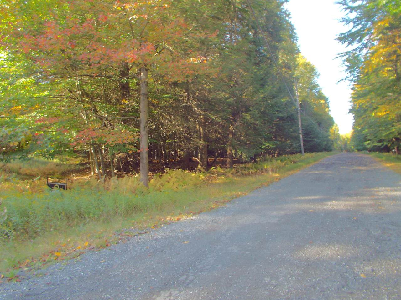 Pocono Road & Vineland Road - Photo 1