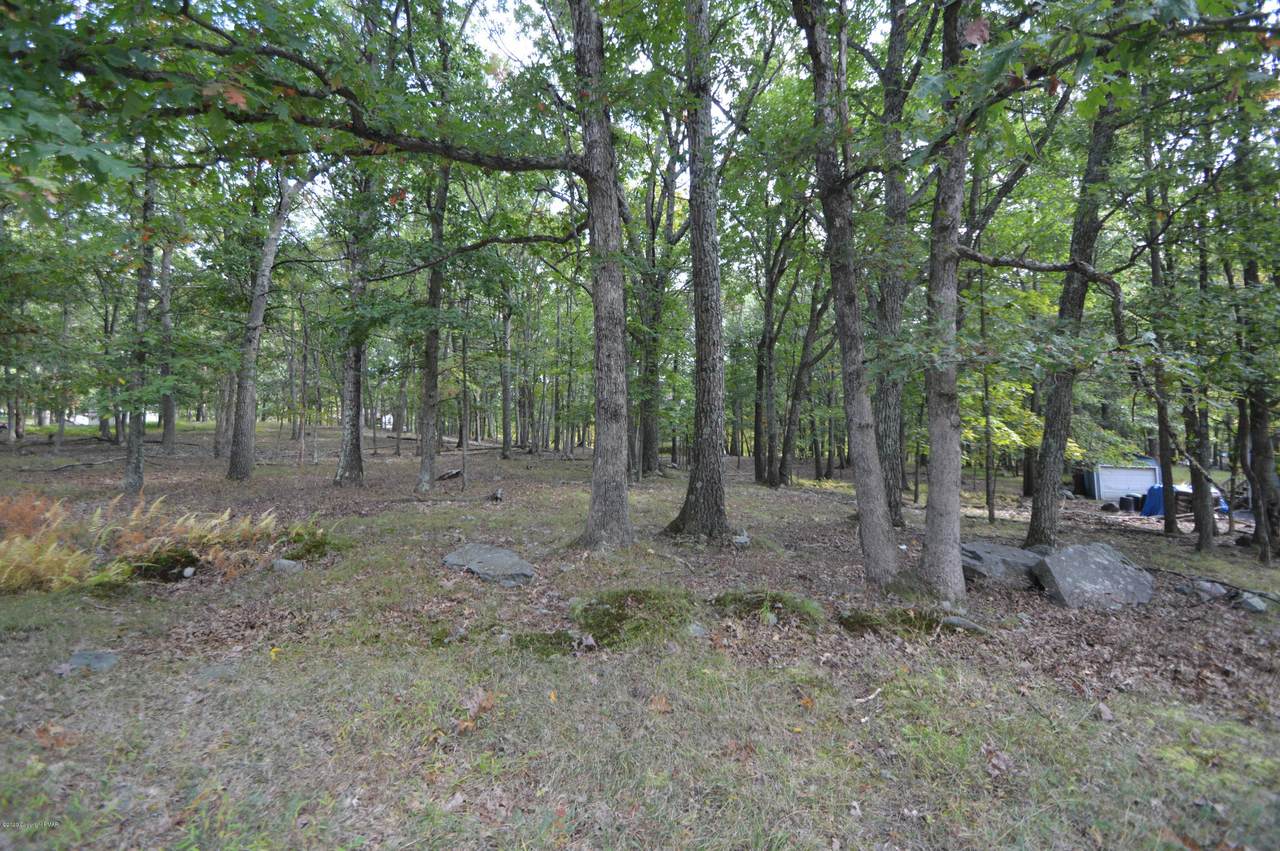 Lot 39 Bluebird Lane - Photo 1