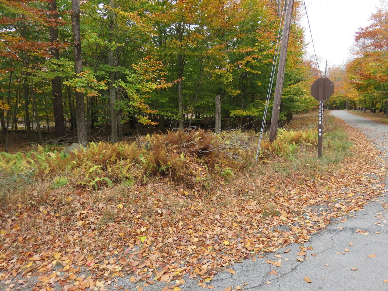 Lot 258 Pocono Drive - Photo 1