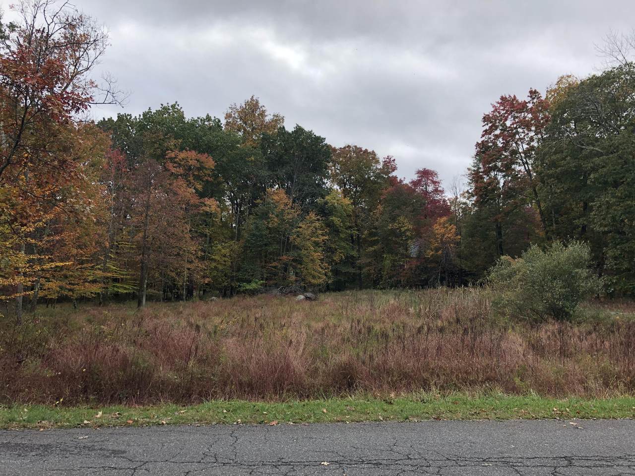 Lot 25 Depue Ln - Photo 1