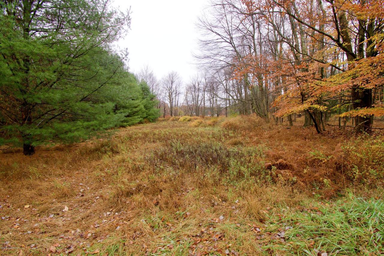 Lot 354 Shakespeare Dr - Photo 1