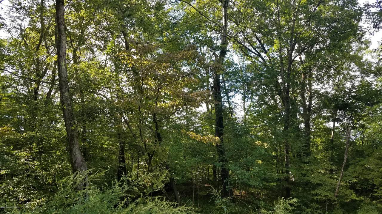 25 Lake Rd - Photo 1