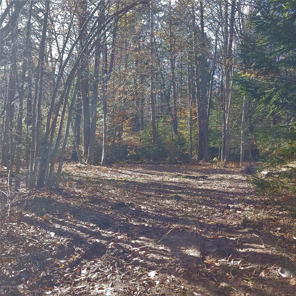 12 Pine Run - Photo 1