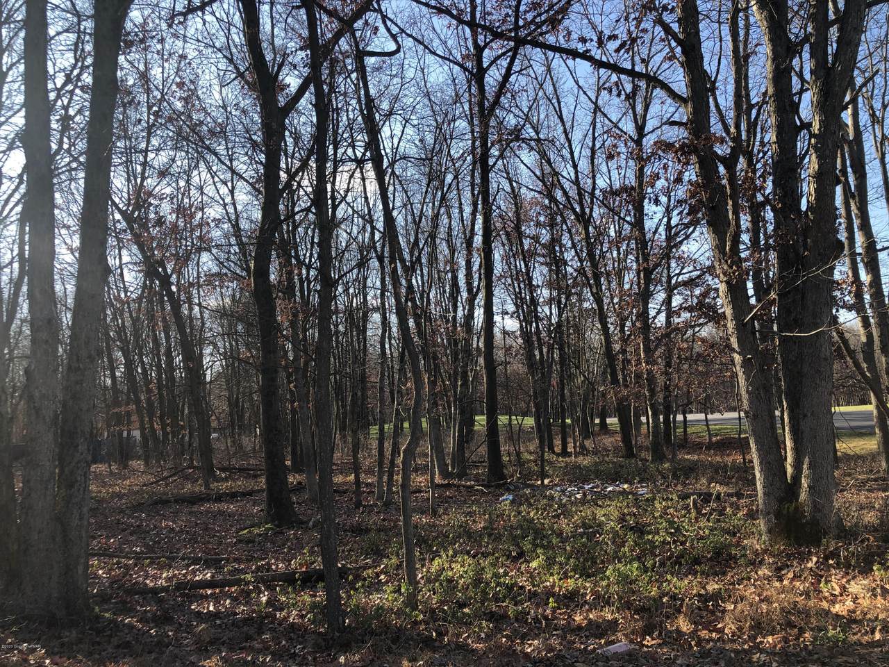 1907 Penn Forest Drive - Photo 1