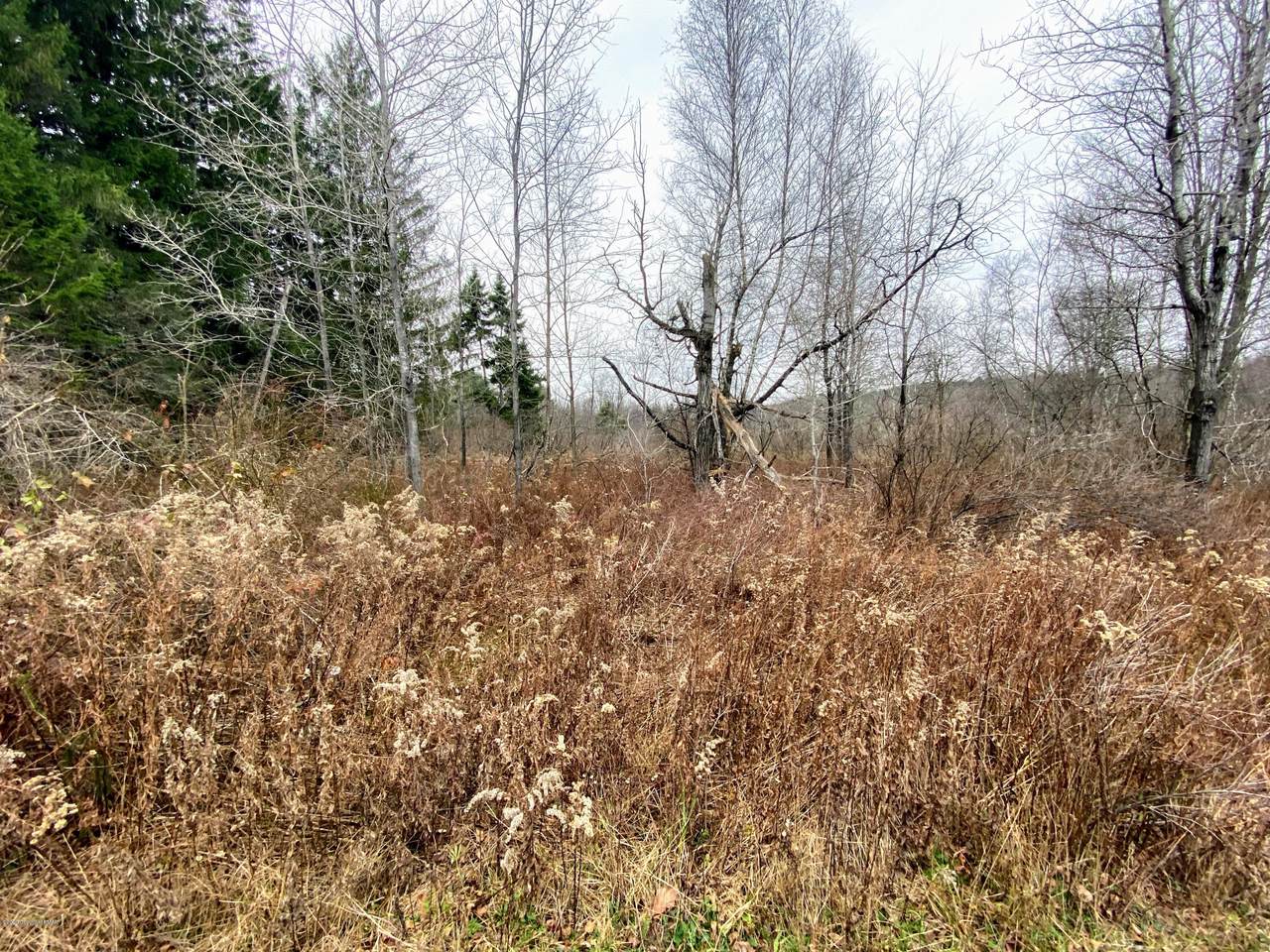 1 Lidio Road - Photo 1