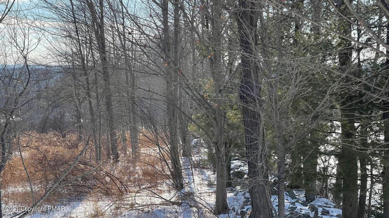 Miller Rd. - Photo 1