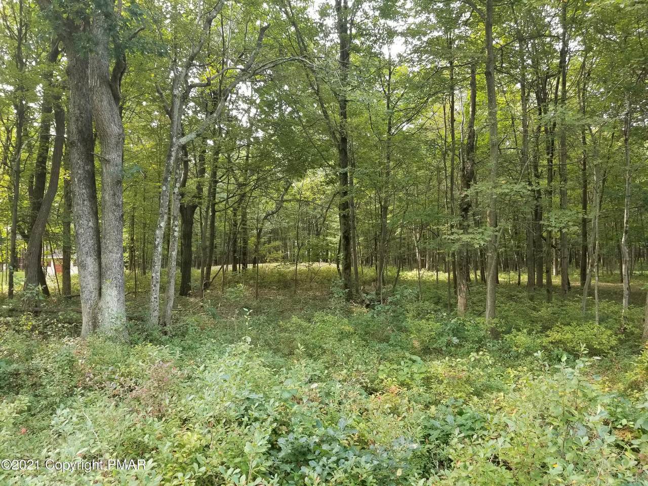 Spencer Ln. - Photo 1