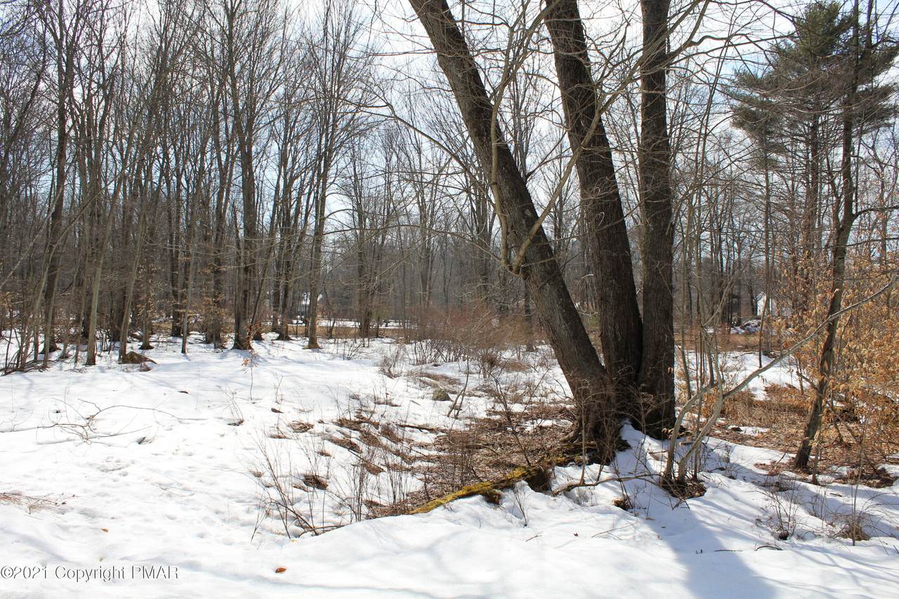 12 Driftwood Rd - Photo 1
