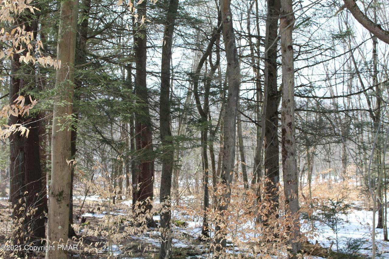 35 Lidio Rd - Photo 1