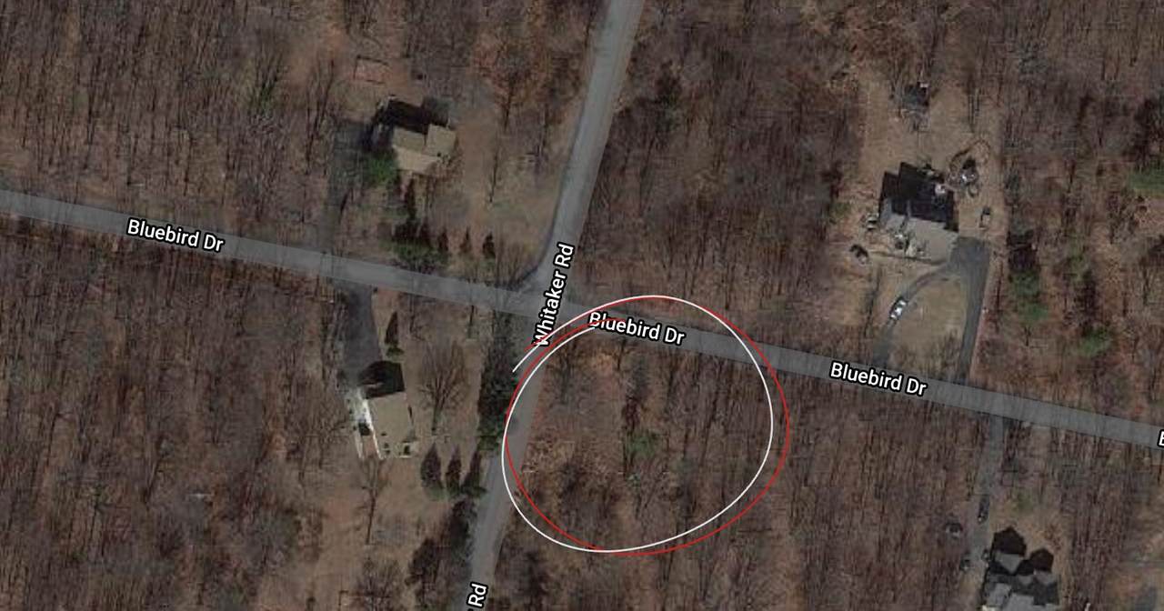 205 Whittaker Rd - Photo 1