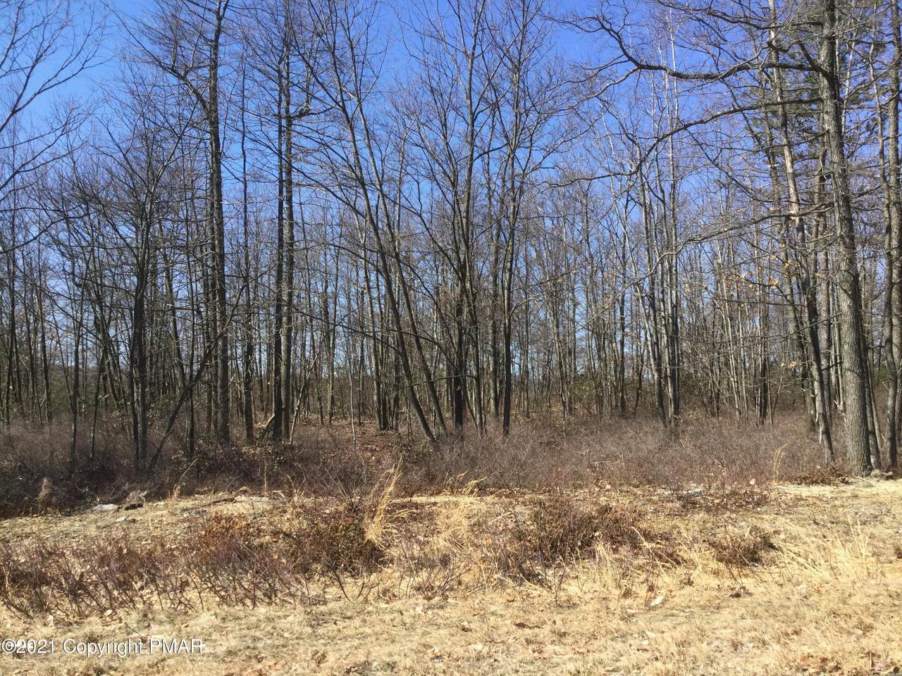 336 Line Mountain Road - Photo 1