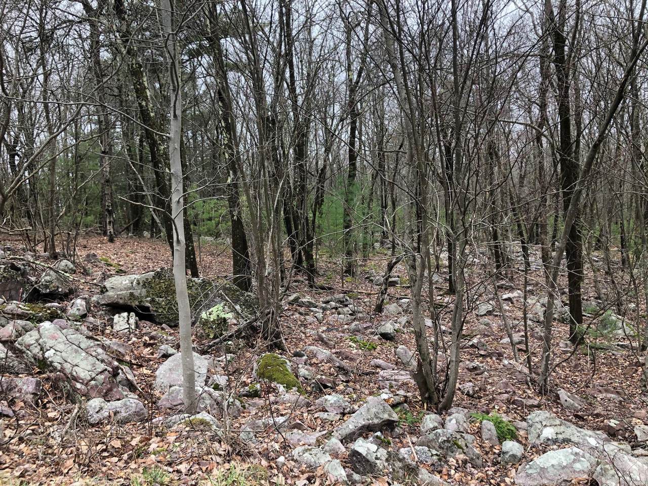 Stony Mountain Road & Aspen Dr - Photo 1