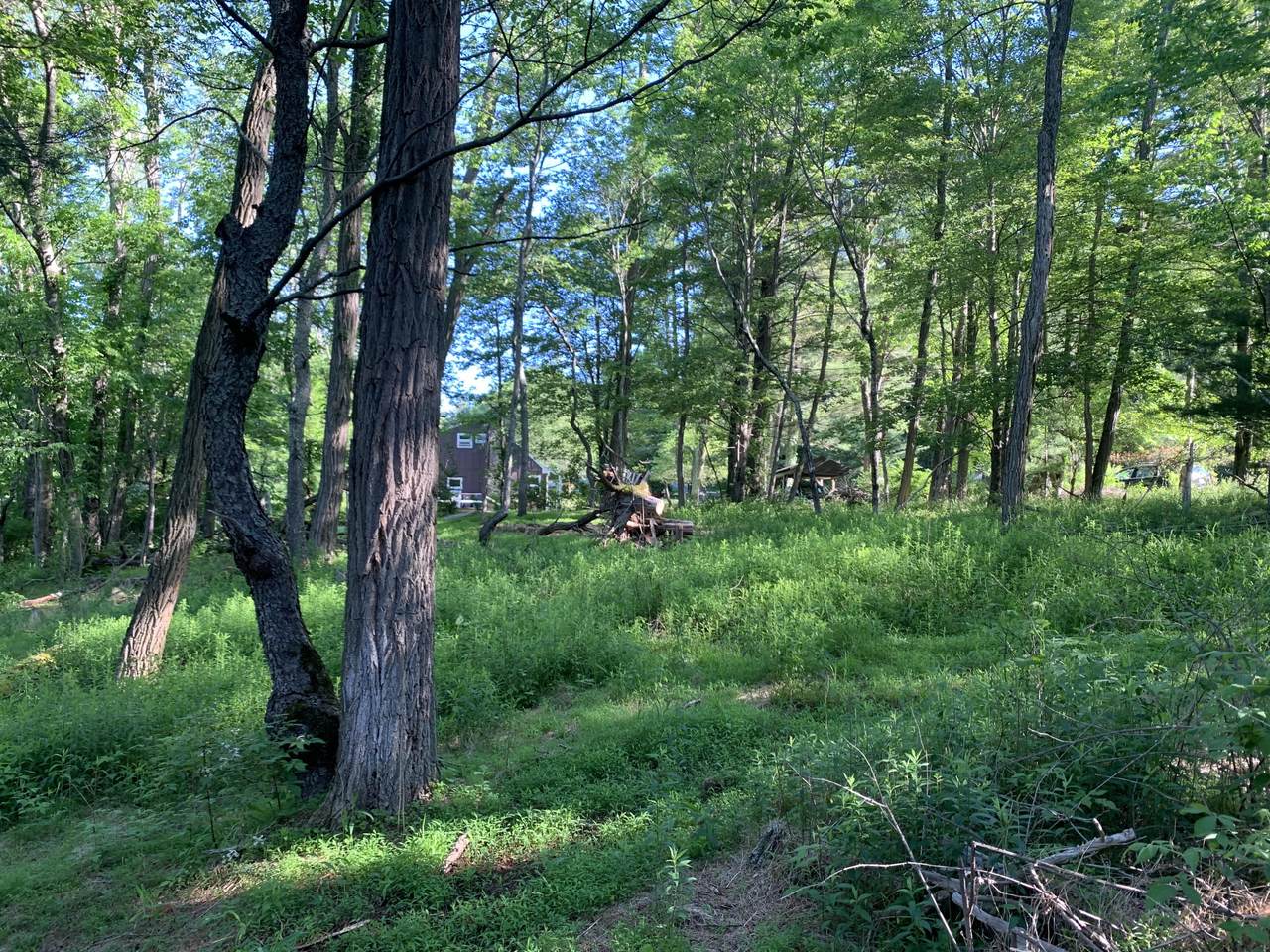 Route 447 - Photo 1