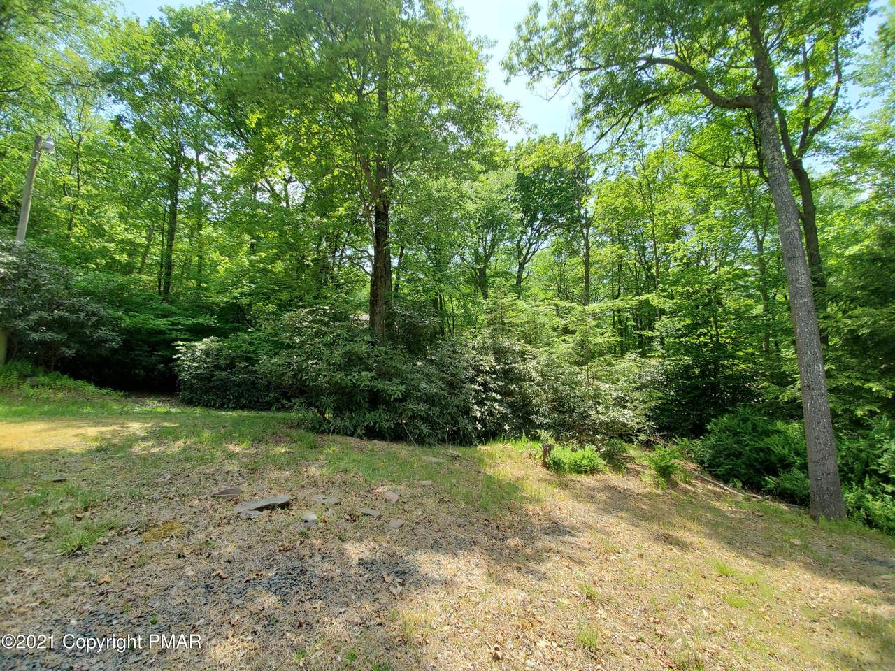 Sugar Pine Dr. - Photo 1