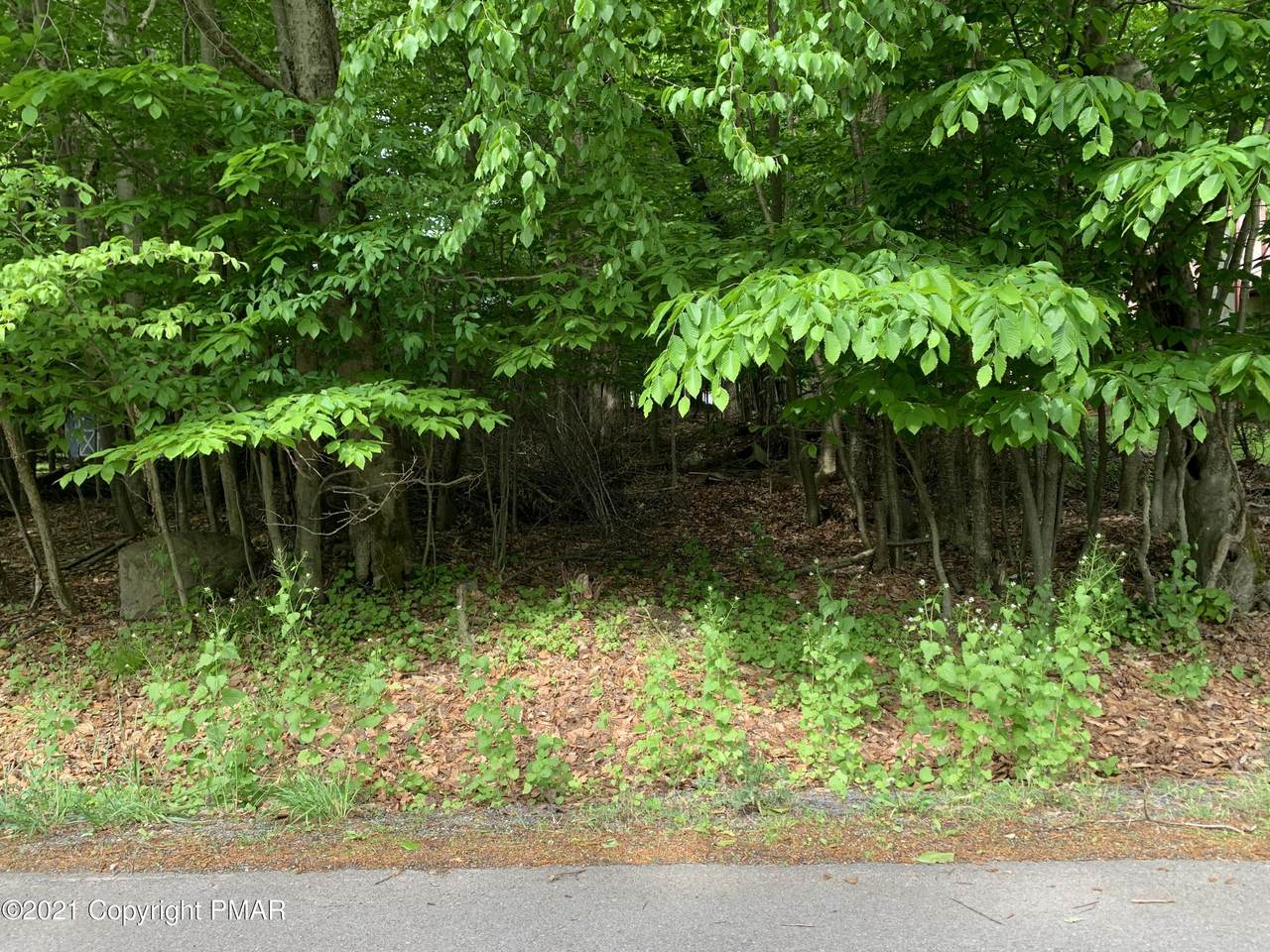 68 Boardwalk Dr - Photo 1