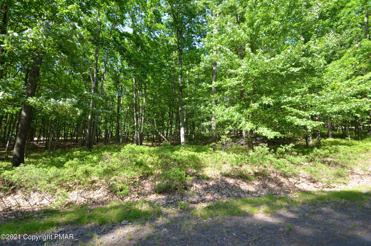 168 Chinook Dr - Photo 1