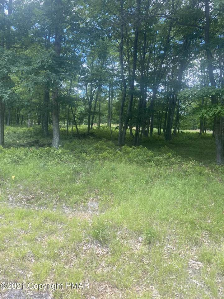 TW-84 Sycamore Lane - Photo 1
