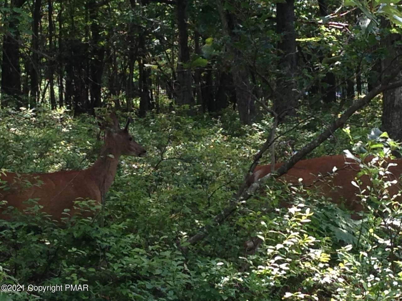 D1732 Old Stage Rd - Photo 1