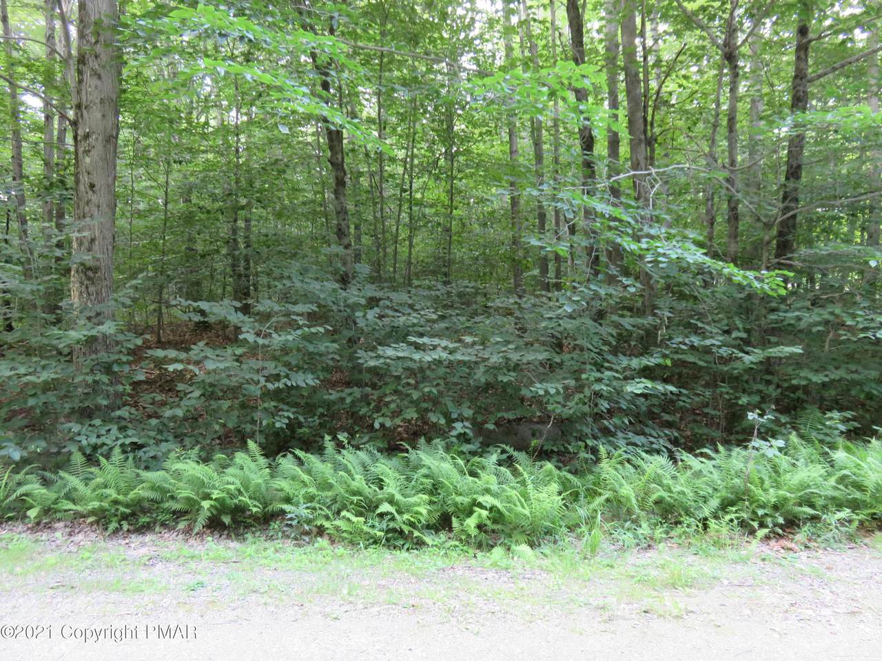 Lot 87 Kerr Lane - Photo 1