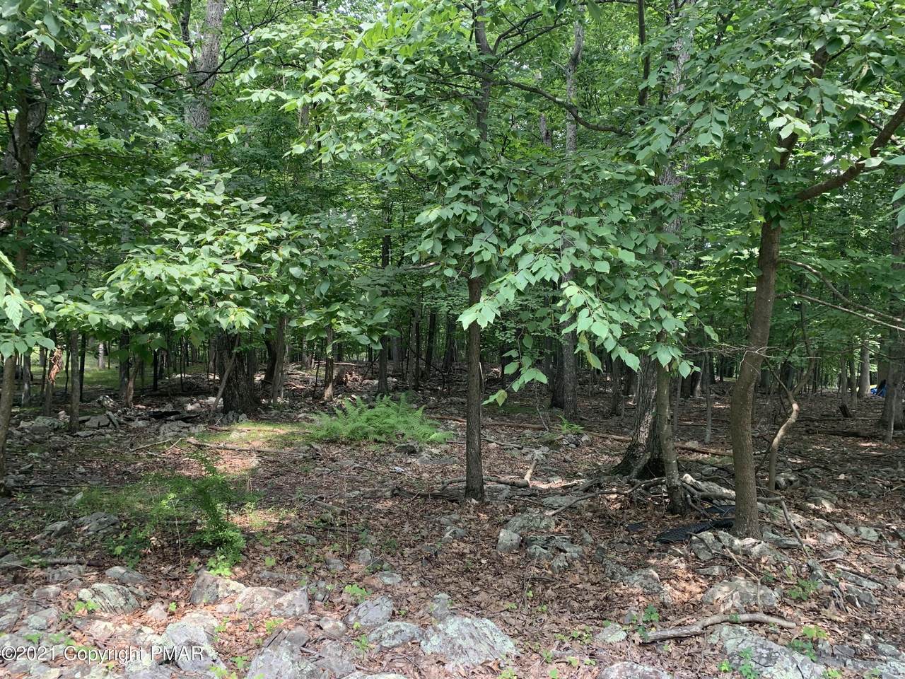 604 Sugar Works Dr - Photo 1