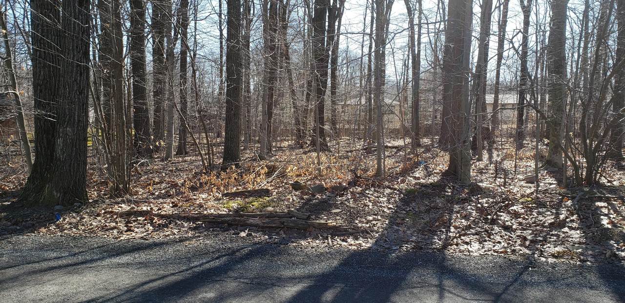 5020 Belvedere Rd - Photo 1