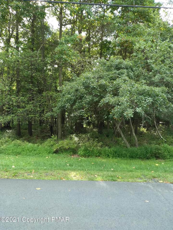 134 Schoch Mills Road - Photo 1