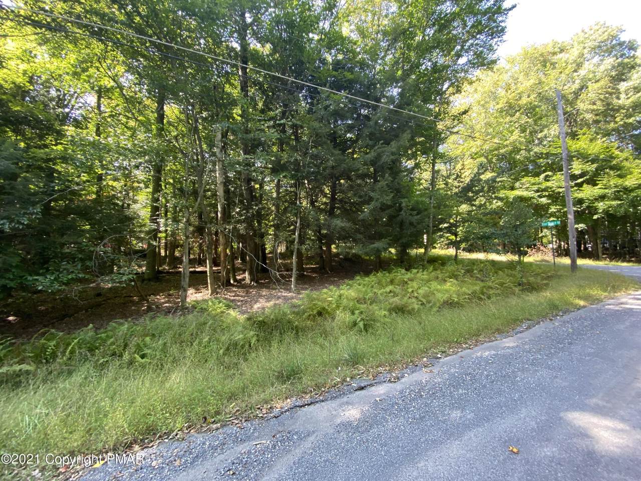 I6TR Blue Spruce Road & Trail Ridge Rd - Photo 1