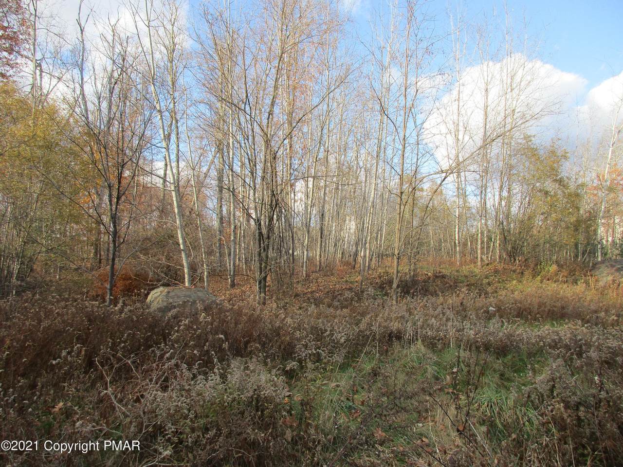Mackenzie Dr #21 - Photo 1
