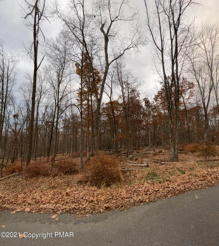 809 White Face Rd - Photo 1