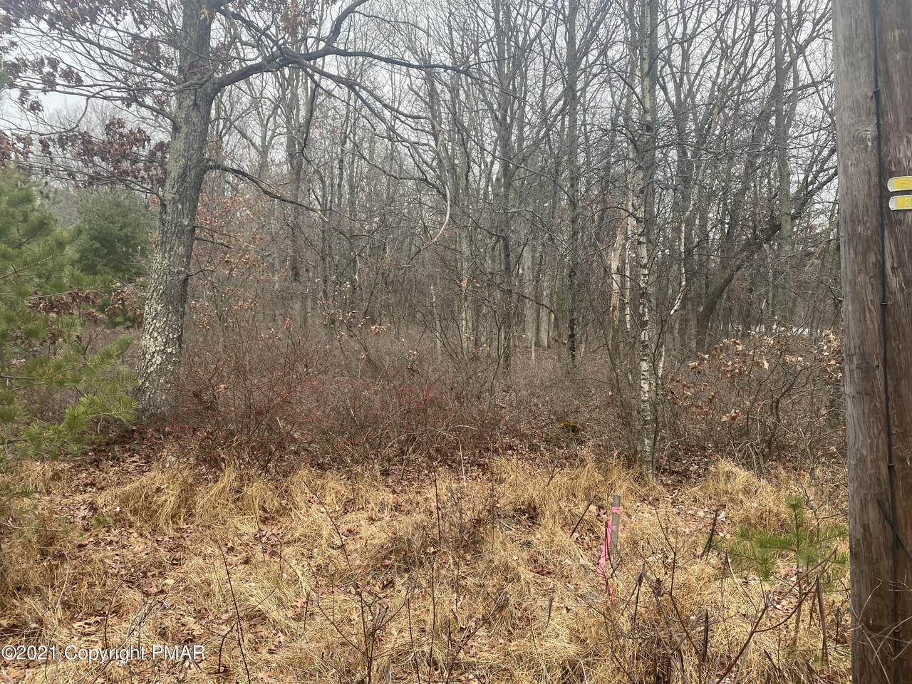 12 Bear Lane - Photo 1