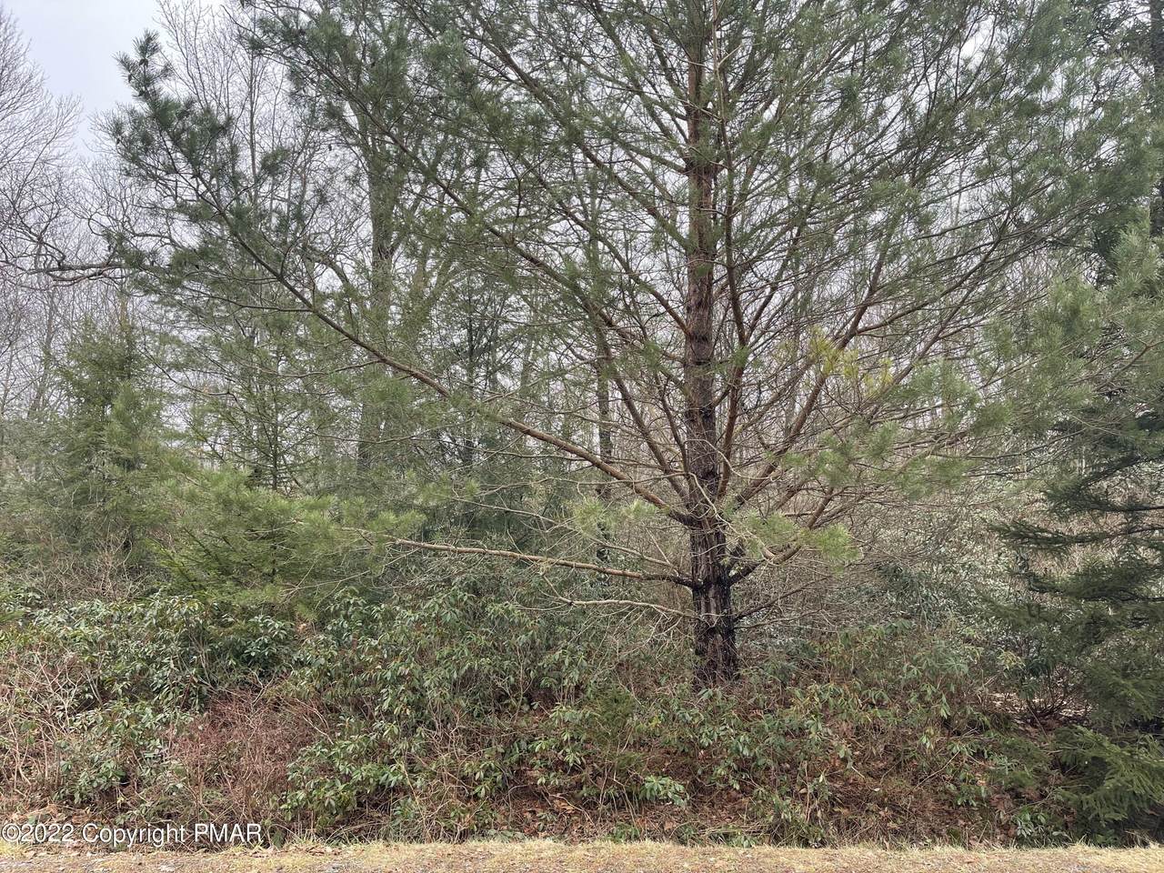 Hawthorn Dr - Photo 1