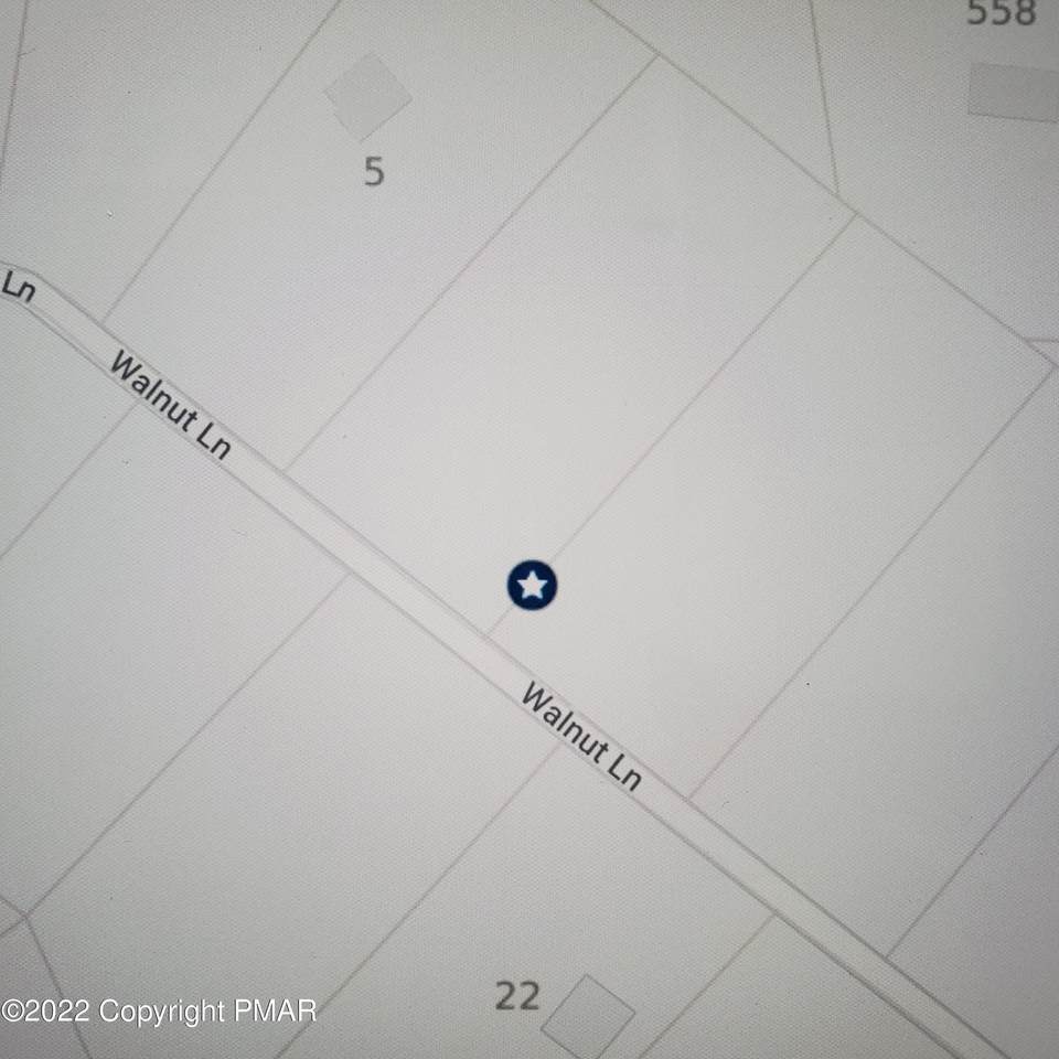 Lot143 Black Walnut Ln - Photo 1
