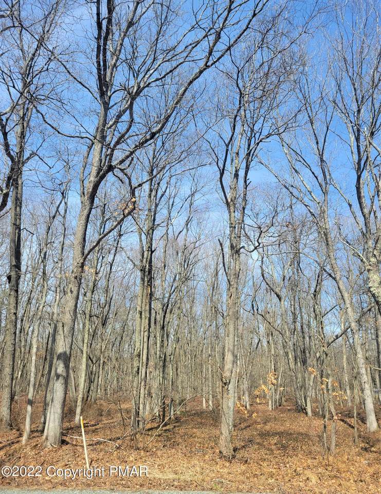 Lot B9 Behrens Rd - Photo 1