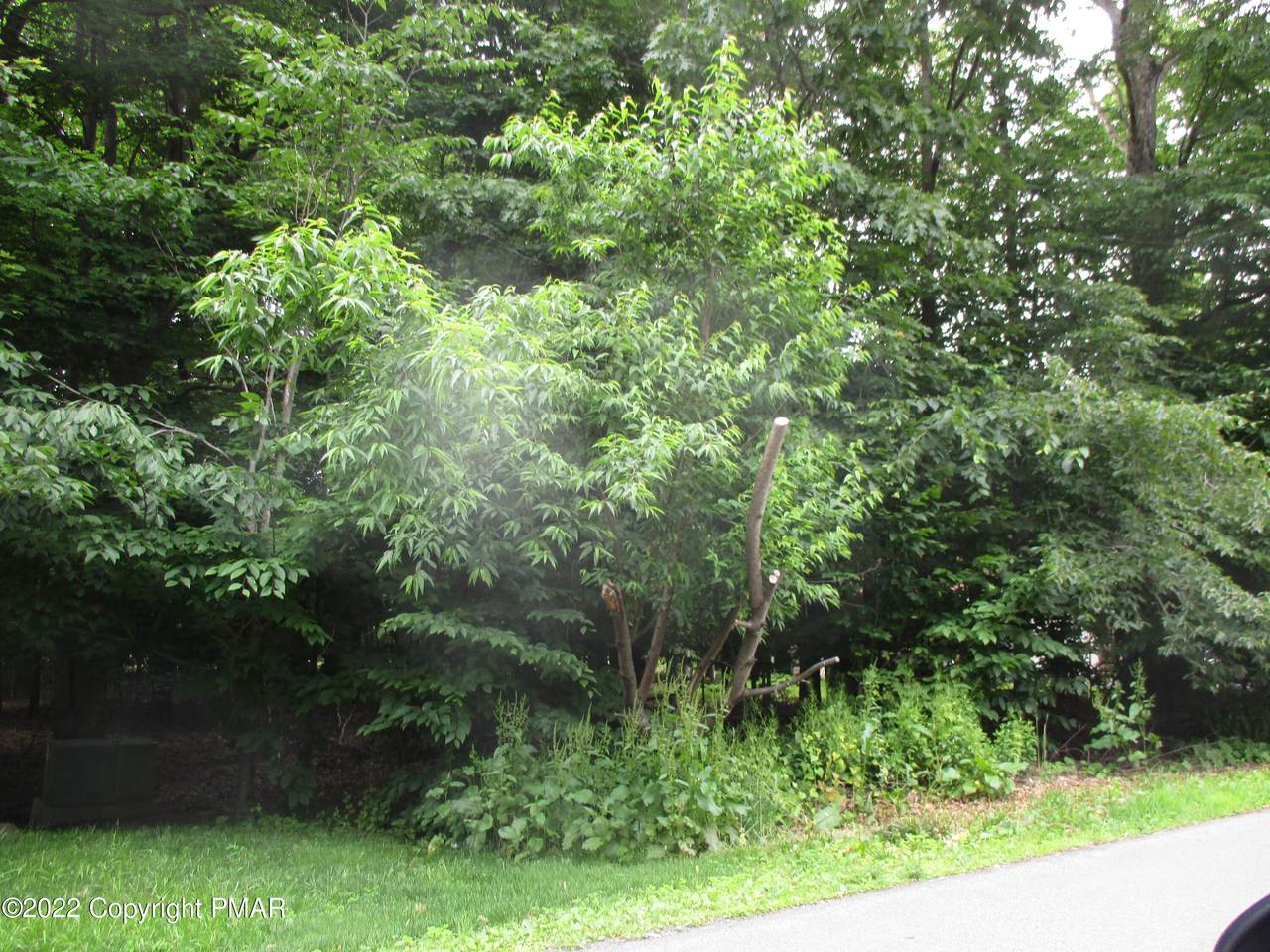 1200 Arbutus Drive - Photo 1