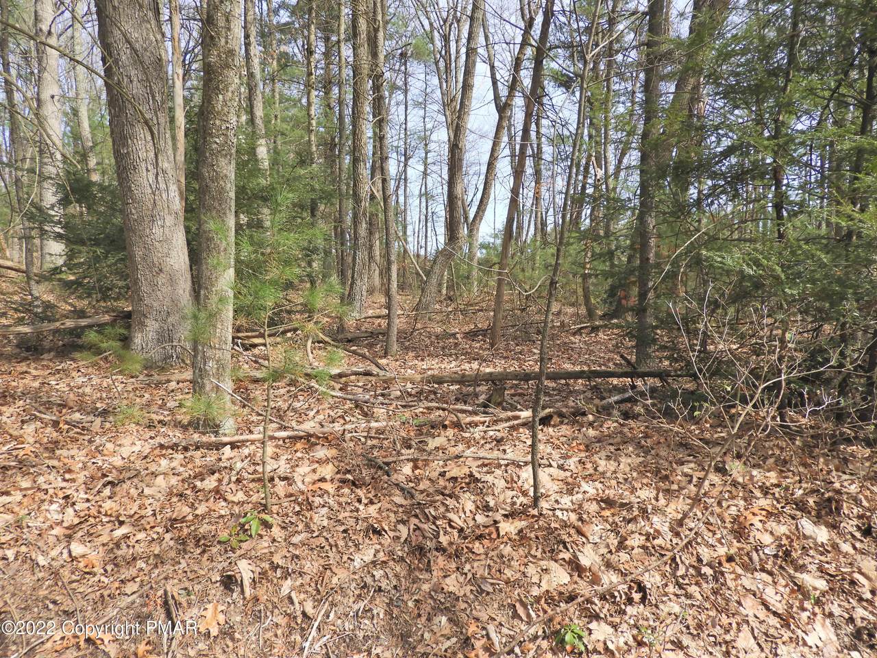 Lot 31 Maple St - Photo 1