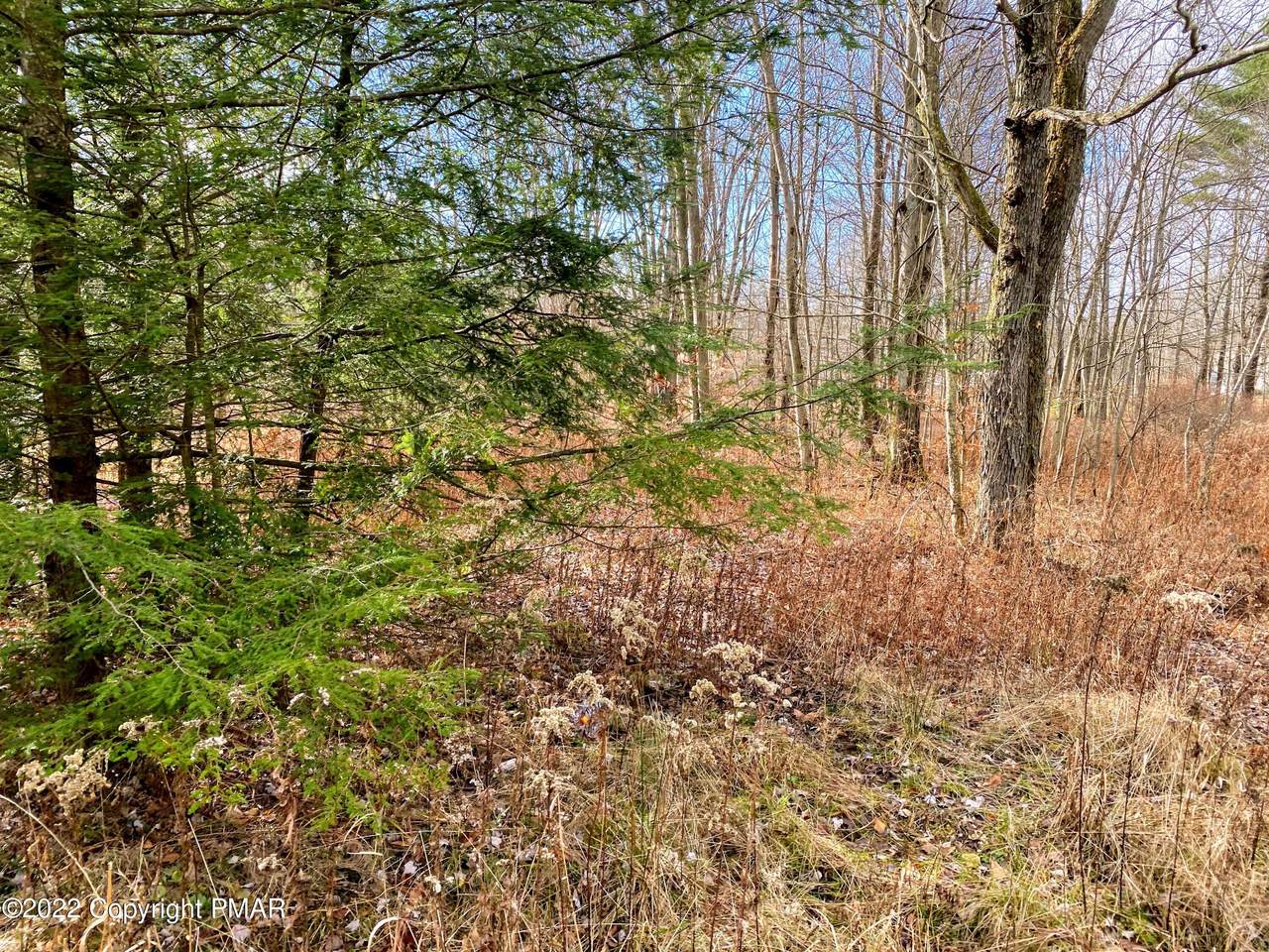 15 Driftwood Road - Photo 1