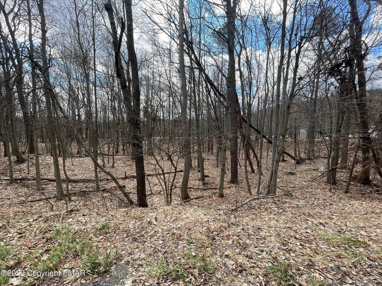 Lot 59 Mckinley Dr - Photo 1