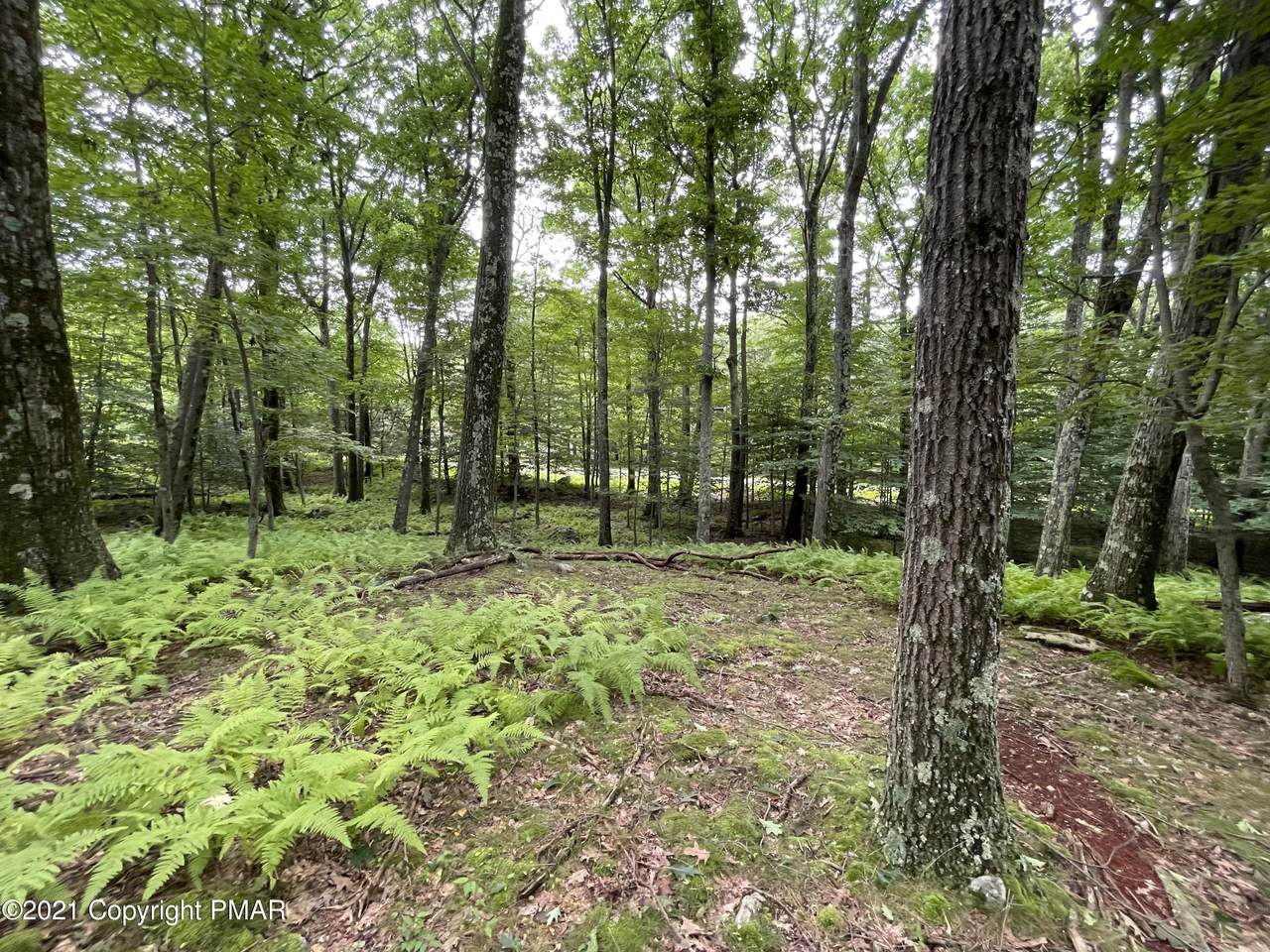 Lot 64 Skyline Dr - Photo 1