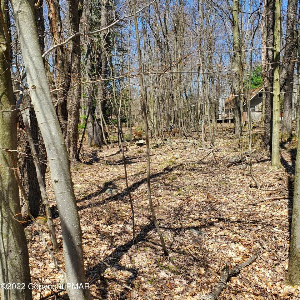 Lake Shore Cir 26 - Photo 1