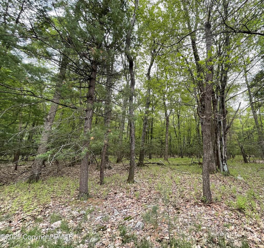 Moseywood Road - Photo 1