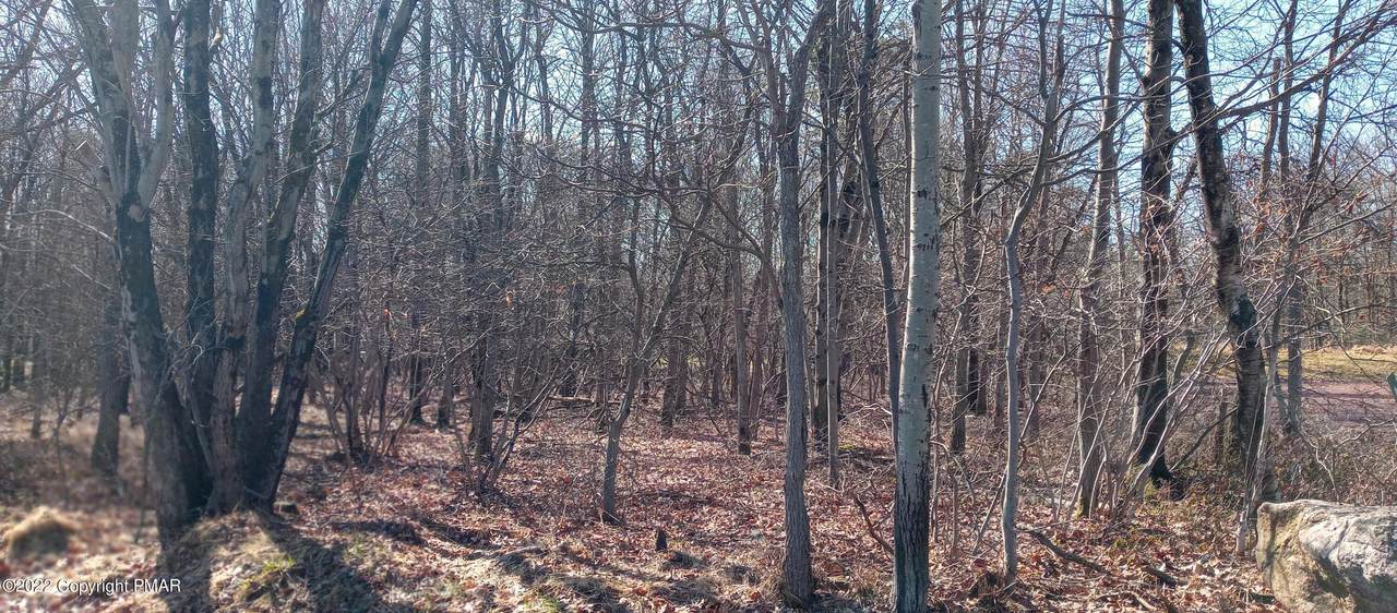 EV806 Stoney Mountain Road - Photo 1