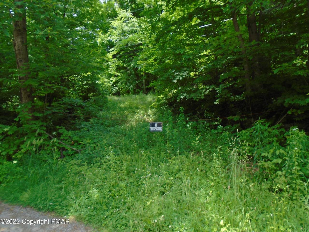 82 Pradon Rd - Photo 1