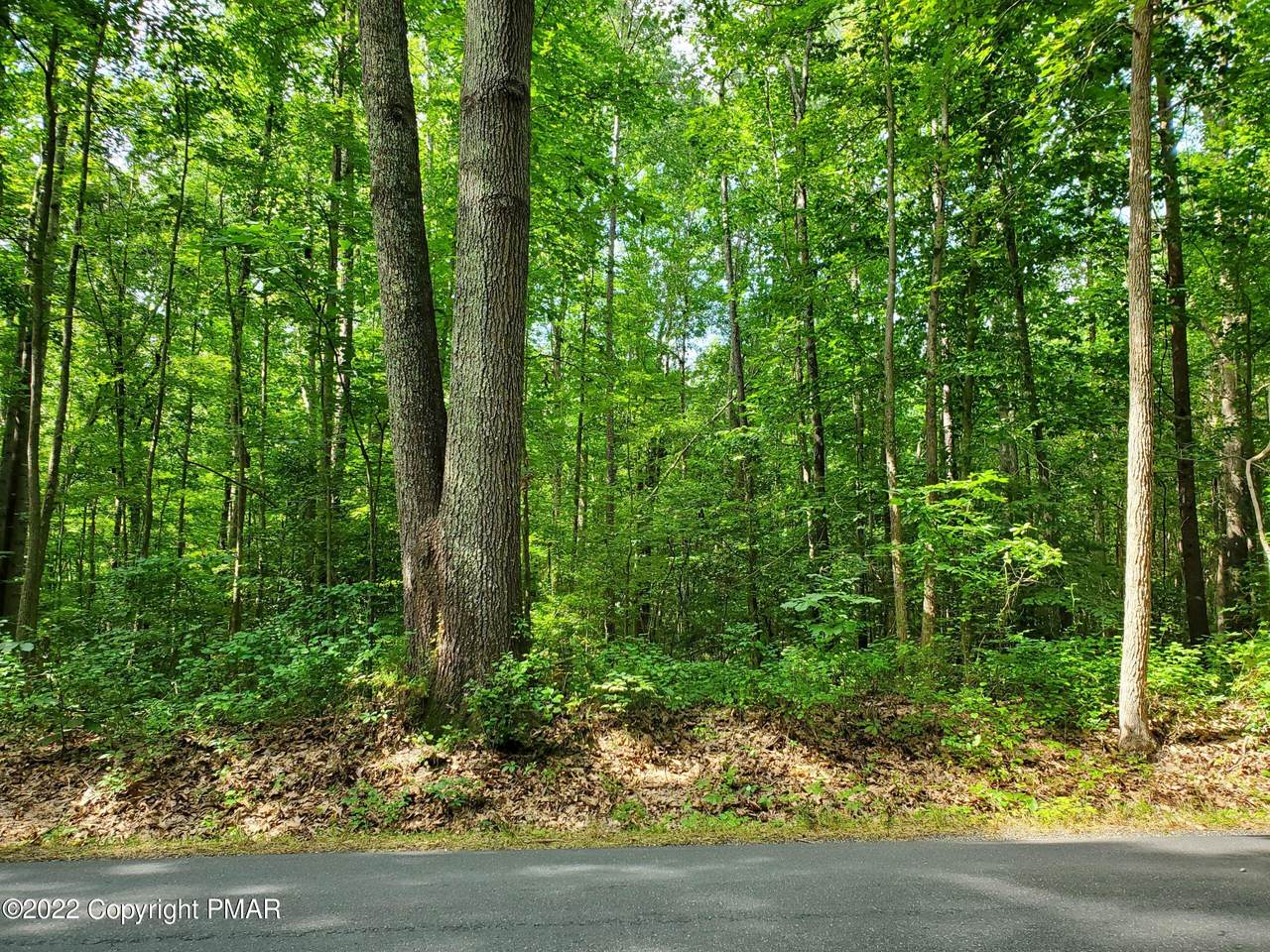 LOT 220 Laurel Valley Rd - Photo 1